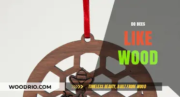 Nature's Carpenters: Exploring Bees' Affinity for Wood