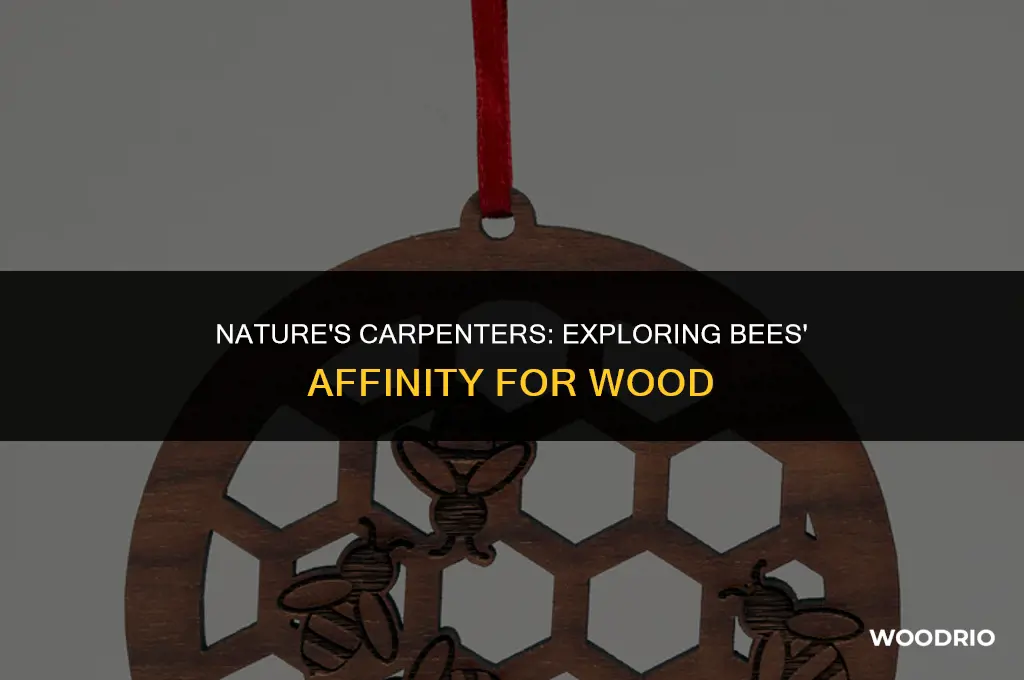 do bees like wood