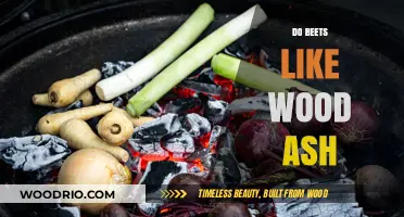 Nurturing Beets: The Benefits of Wood Ash in Your Garden
