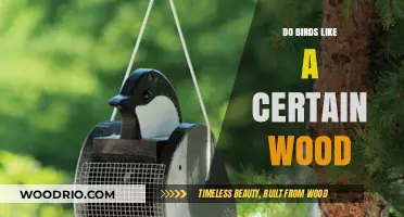 Nature's Preferences: Which Woods Do Birds Favor for Their Nests?