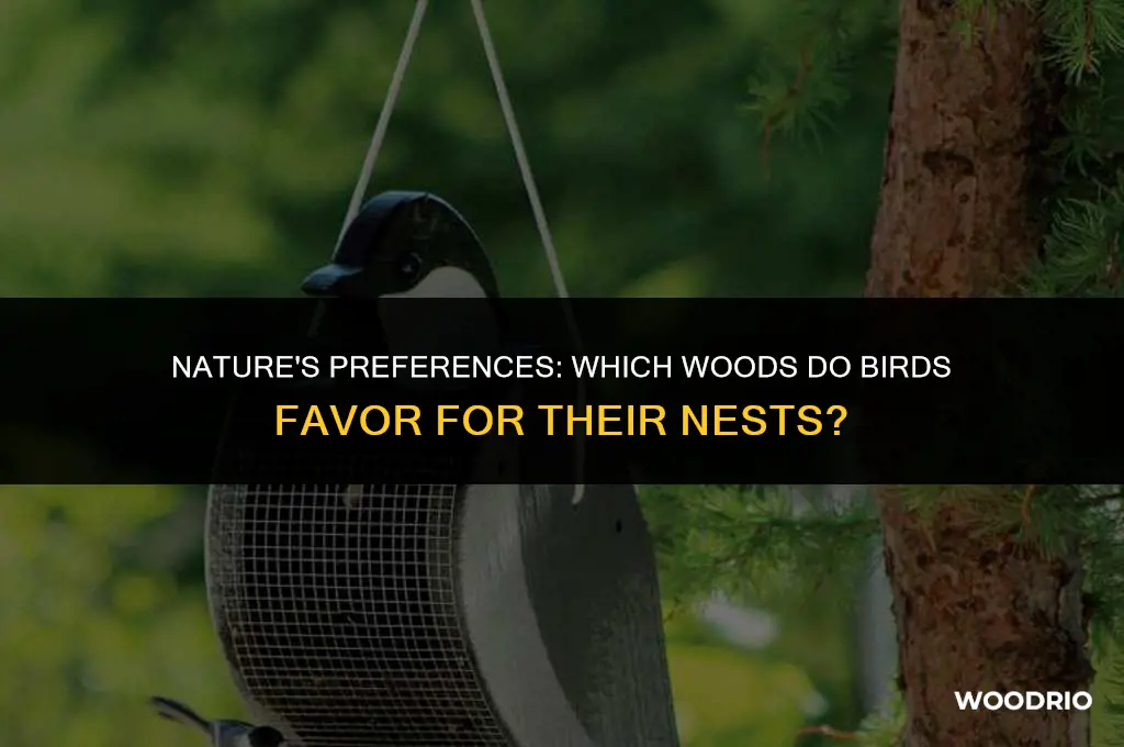 do birds like a certain wood