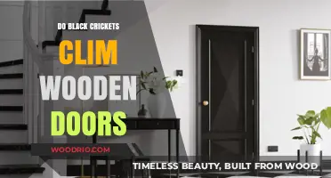 Exploring the Myth: Can Black Crickets Really Climb Wooden Doors?