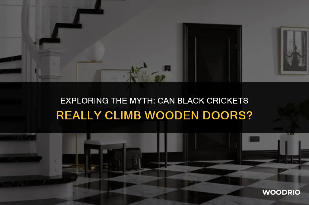 do black crickets clim wooden doors
