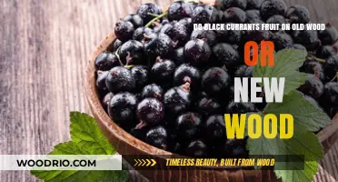 Black Currants: Fruiting on Old Wood or New Growth?