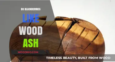 Boosting Blackberry Growth: The Benefits of Wood Ash