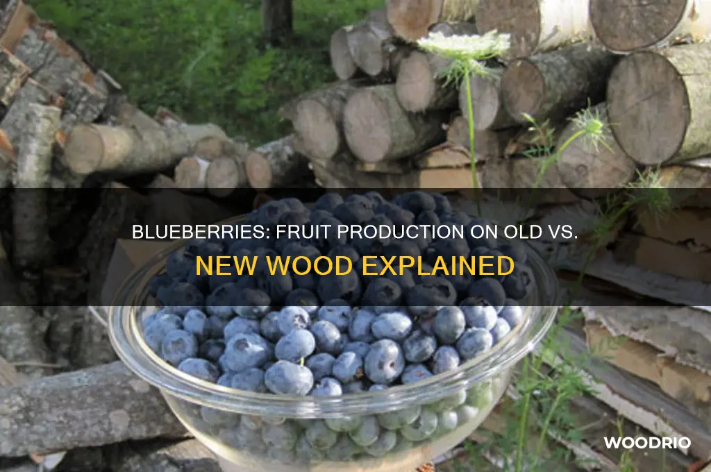 do bluebeeries produce fruit on old or new wood