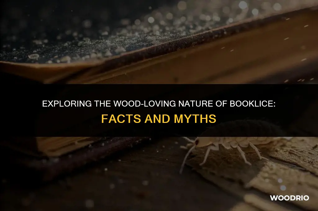 do booklice like wood