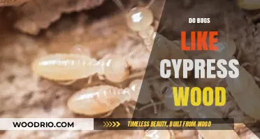 Cypress Wood: A Bug's Paradise or Nightmare?