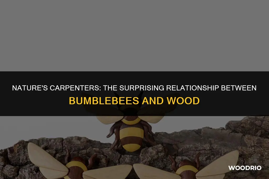 do bumblebees like wood