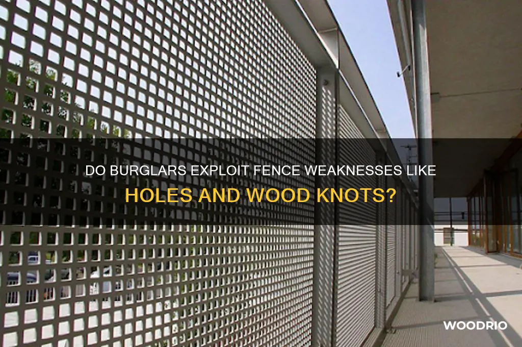do burglars peek through fence holes wood knots