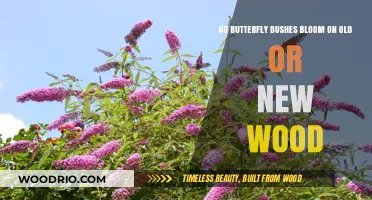 Butterfly Bushes: Blooming on Old or New Wood Explained