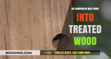 Carpenter Bees and Treated Wood: A Detailed Examination