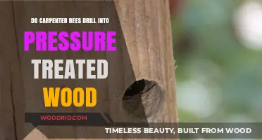Carpenter Bees and Pressure Treated Wood: A Detailed Exploration
