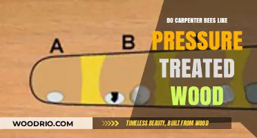 Do Carpenter Bees Like Pressure Treated Wood?