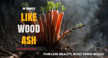 Nurturing Carrots: The Surprising Benefits of Wood Ash in Your Garden