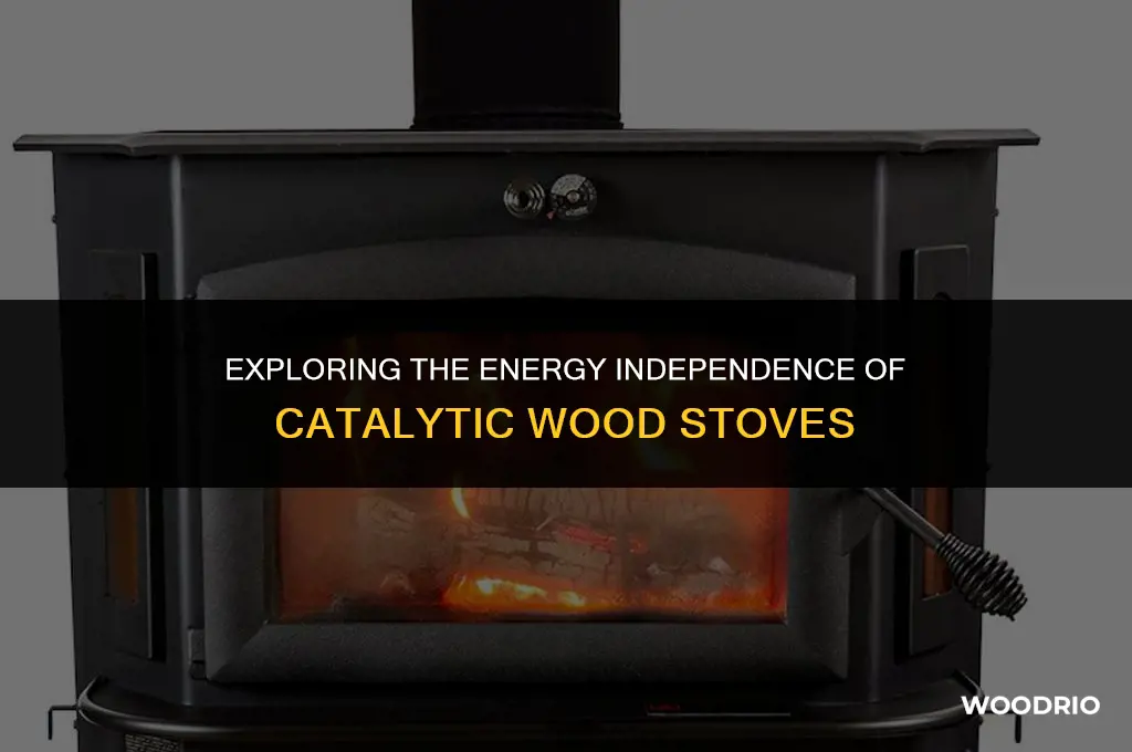 do catalytic wood stoves require electricity