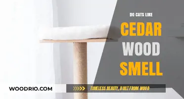 Feline Preferences: Do Cats Really Like the Smell of Cedar Wood?