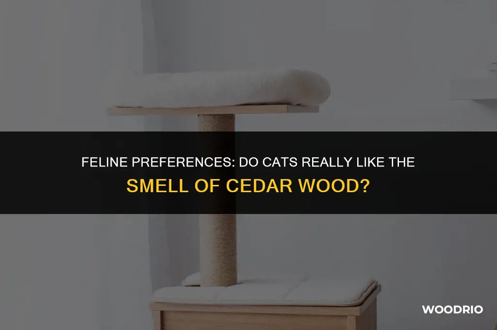 do cats like cedar wood smell
