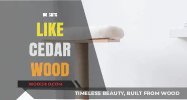 Exploring Feline Preferences: Do Cats Really Like Cedar Wood?