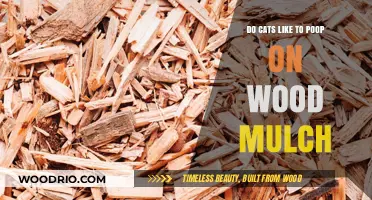 Exploring Feline Preferences: Do Cats Enjoy Pooping on Wood Mulch?