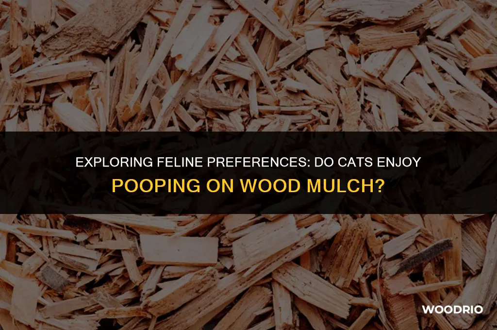 do cats like to poop on wood mulch