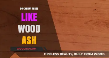 Nourishing Cherry Trees: The Benefits of Wood Ash