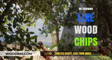 Do Chickens Like Wood Chips? A Comprehensive Guide for Poultry Lovers