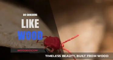 Exploring Chigger Preferences: Do They Like Wood?