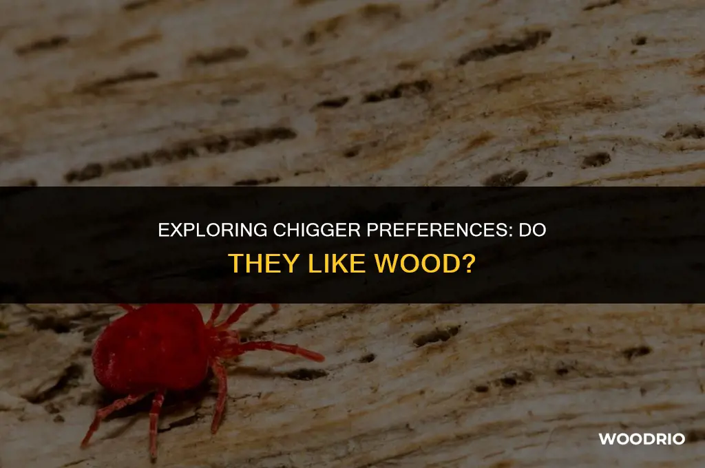 do chiggers like wood