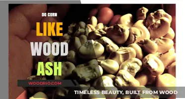 Enriching Soil Naturally: The Benefits of Wood Ash for Corn Growth