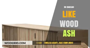 Nurturing Dahlias: The Benefits of Wood Ash in Your Garden