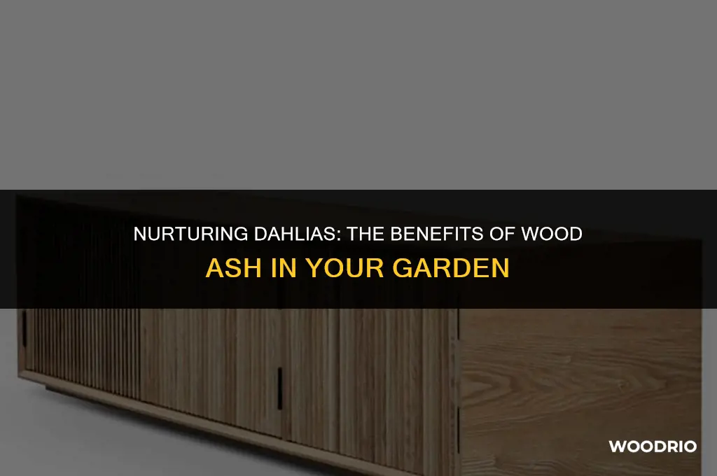 do dahlias like wood ash