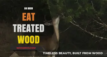 Deer Diet Dilemma: Treated Wood Consumption Explored