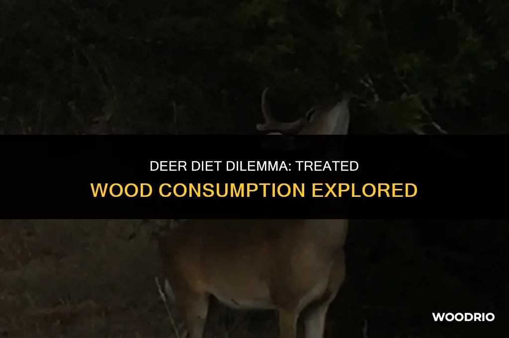 do deer eat treated wood