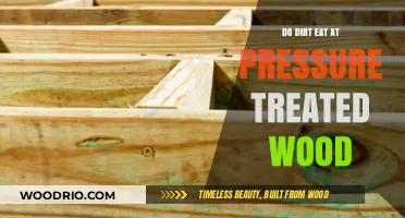 Can Dirt Eat Pressure Treated Wood? Unveiling the Truth