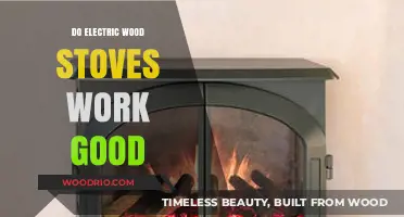 Exploring the Efficiency and Benefits of Electric Wood Stoves