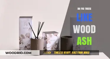 Nurturing Fig Trees: The Benefits of Wood Ash Fertilization