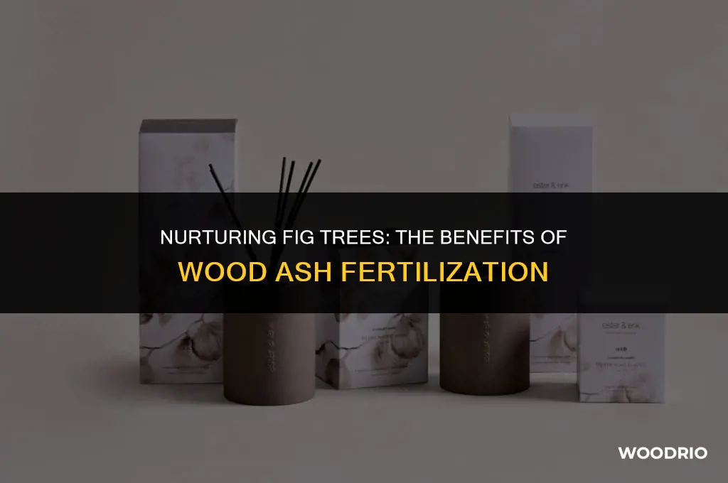 do fig trees like wood ash