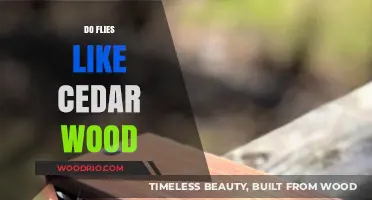 Nature's Preferences: Do Flies Find Cedar Wood Appealing?