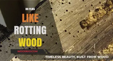 The Buzz on Decay: Do Flies Really Like Rotting Wood?