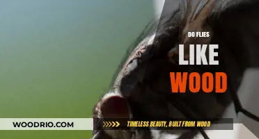 Exploring the Intriguing Relationship Between Flies and Wood