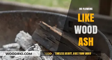 Nurturing Blooms: The Surprising Benefits of Wood Ash for Flowers