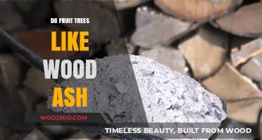 Nourishing Growth: The Benefits of Wood Ash for Fruit Trees
