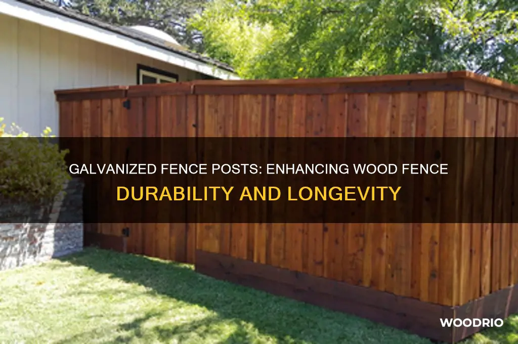 do galvanized fence posts with wood fences last