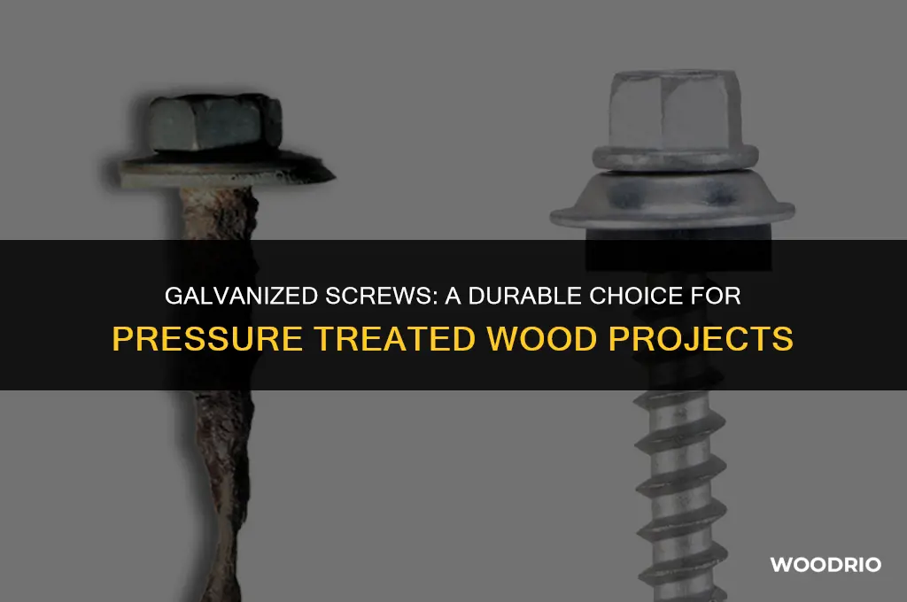 do galvanized screws work in pressure treated wood