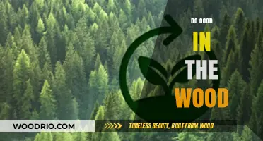 Embracing Sustainability: How to Do Good in the Woods