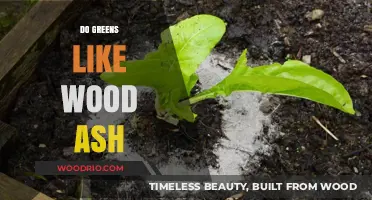 Sustainable Gardening: The Benefits of Wood Ash for Green Thumbs