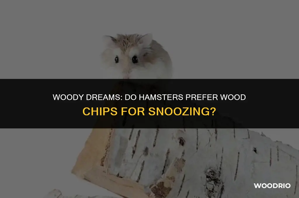 do hamsters like slepeing in or on wood chips