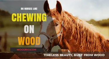 Exploring Equine Behavior: Do Horses Enjoy Chewing on Wood?