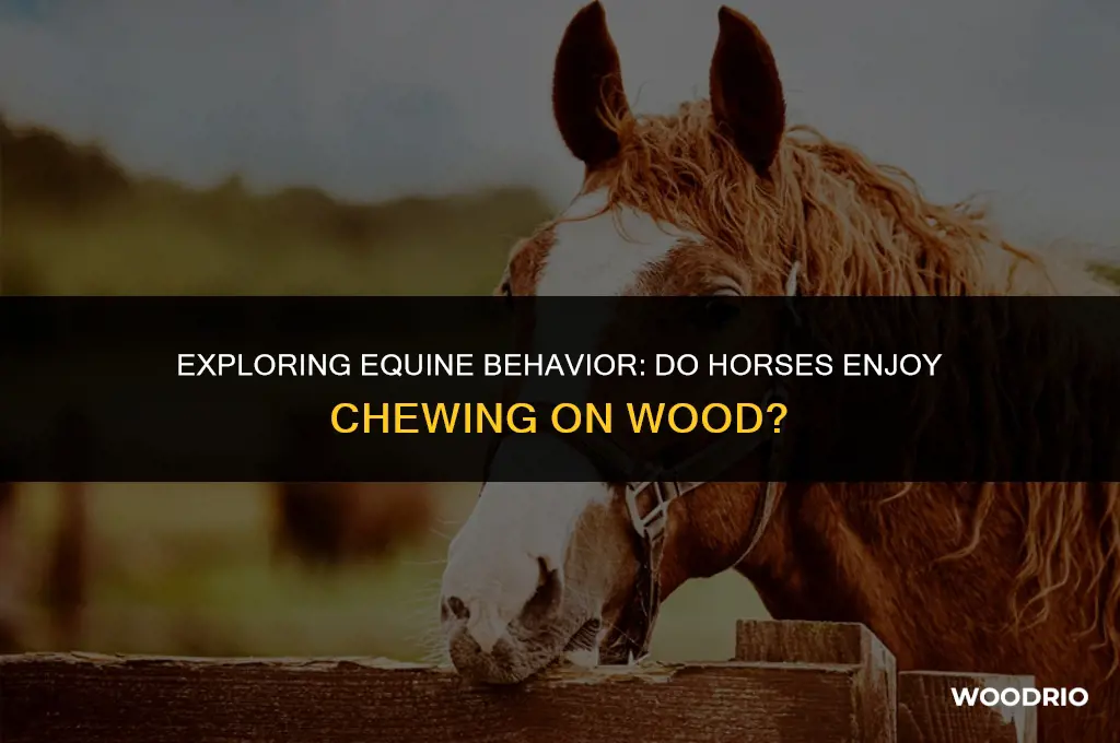 do horses like chewing on wood